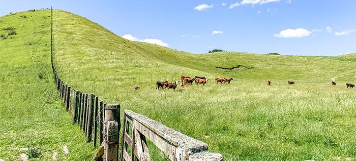 Beyond the Farm Gate: Why investing off-farm can help farmers build resilience