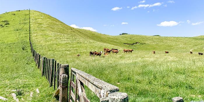 Research tile card image